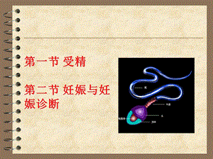 兽医产科学之分娩与助产ppt课件精选文档.ppt