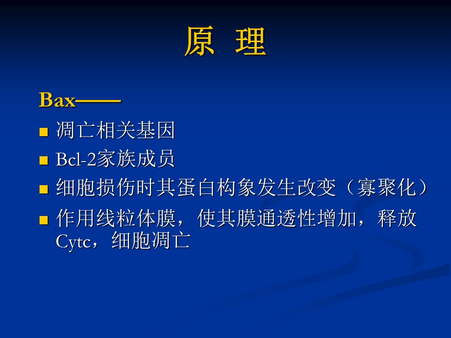 凋亡相关基因Bax在不同细胞中表达产物差异检测文档资料.ppt_第2页