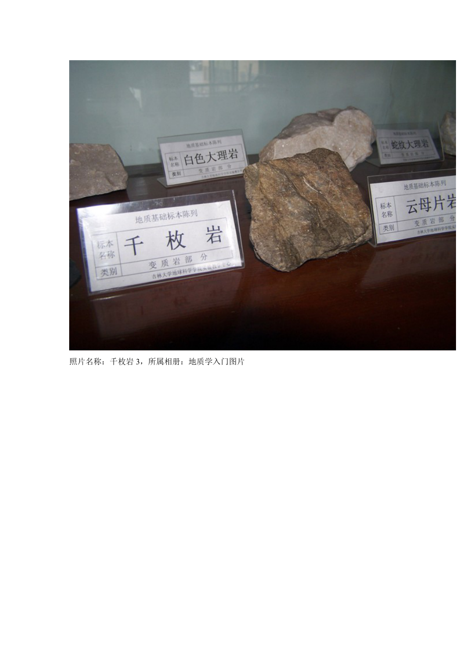 各种标准岩石矿物图集.doc_第2页