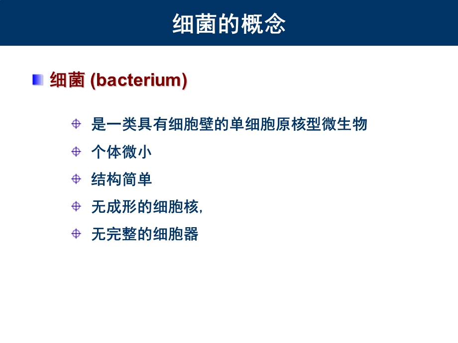 1细菌的形态与结构精选文档.ppt_第1页