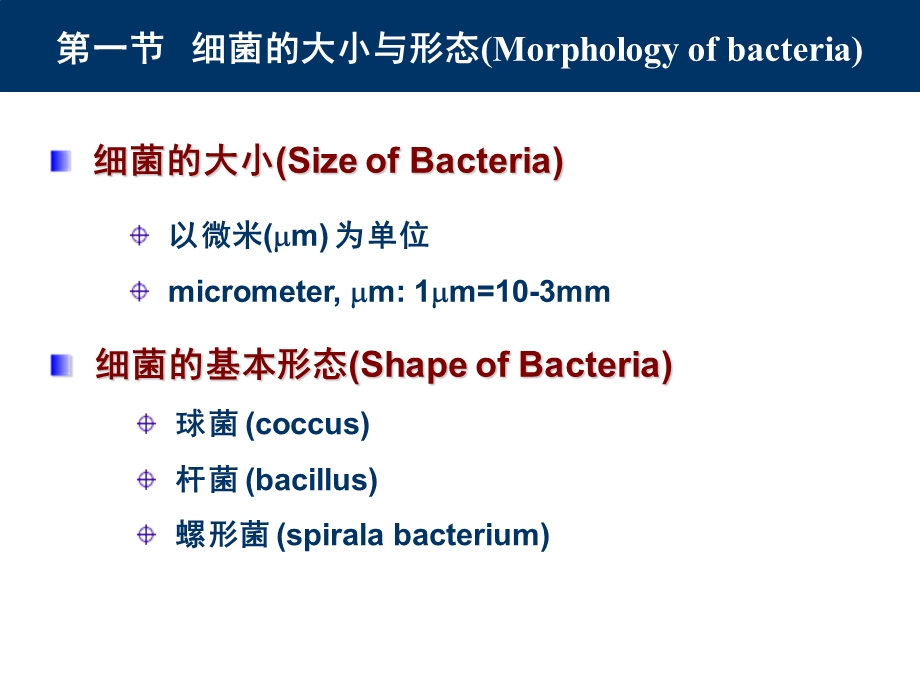 1细菌的形态与结构精选文档.ppt_第2页