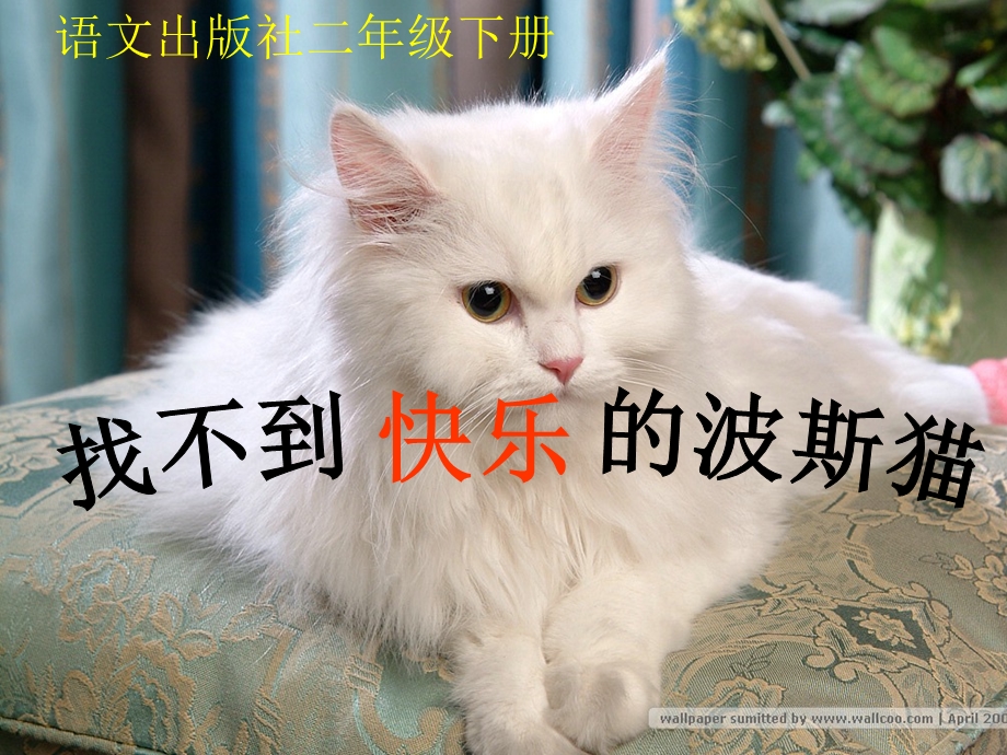 找不到快乐的波斯猫课件(语文S版二年级下册课件)用.ppt_第1页