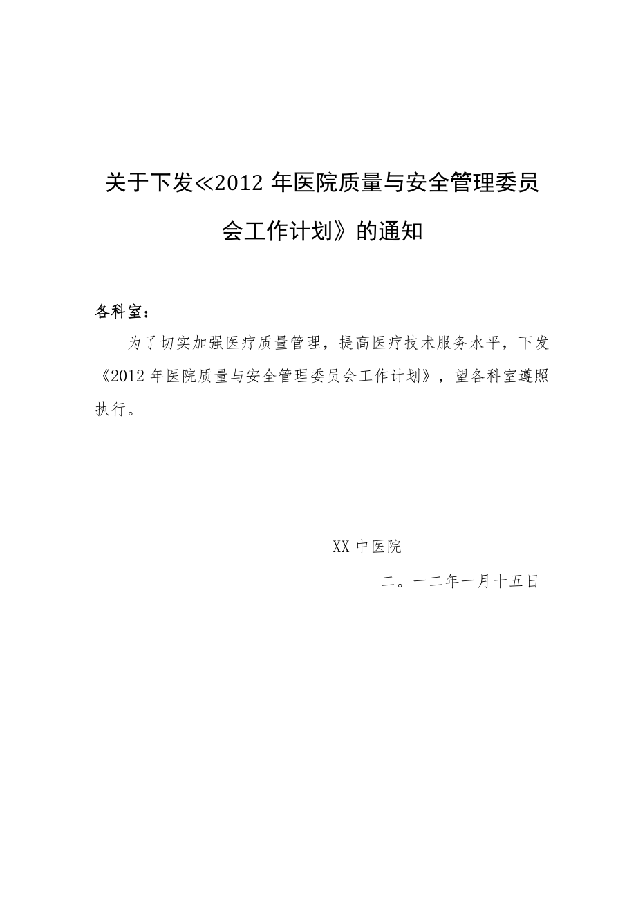 中医院质量与安全管理委员会工作计划.docx_第1页