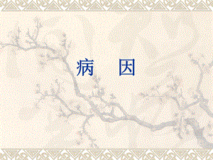 师带徒班李德新病因名师编辑PPT课件.ppt