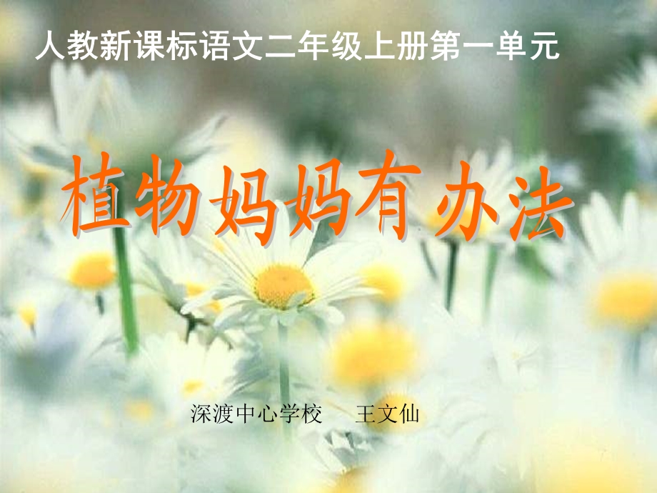 植物妈妈有办法ppt王文仙.ppt_第1页