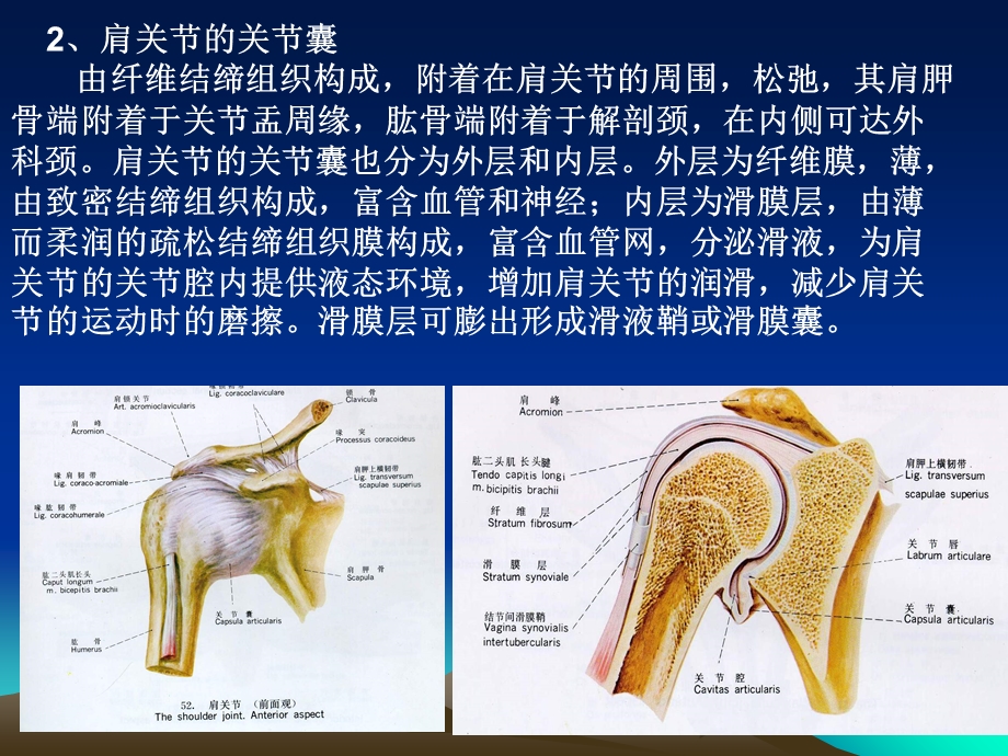 最新级临床系解实验三思考题PPT文档.ppt_第3页