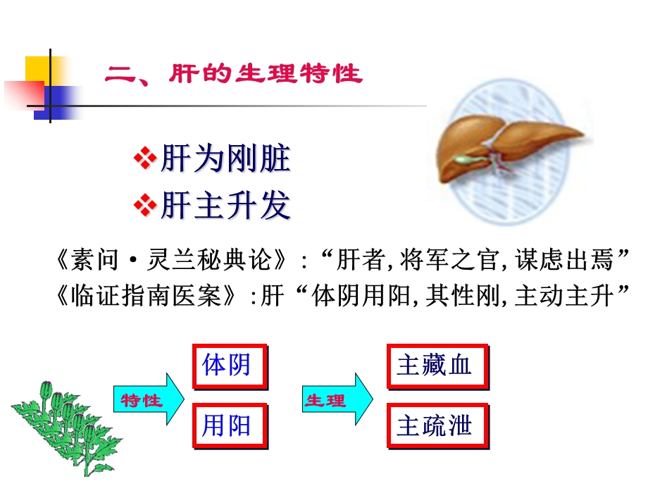 中基课件藏象肝PPT文档.ppt_第3页