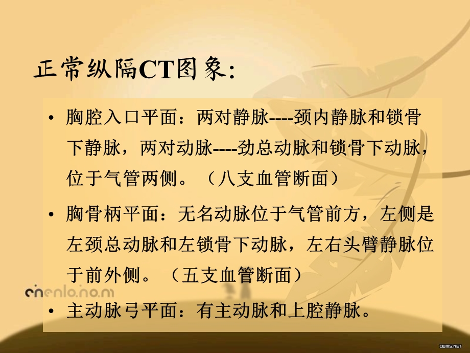 医学影像学呼吸系统2ppt课件精选文档.ppt_第1页