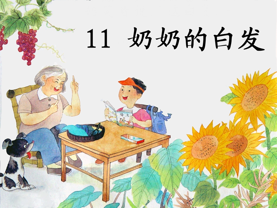 奶奶的白发第二课时.ppt_第1页