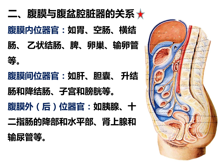 最新腹膜心PPT文档.ppt_第2页