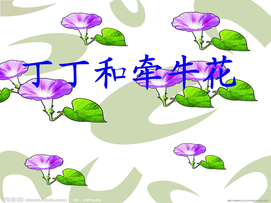 丁丁和牵牛花课件.ppt_第1页