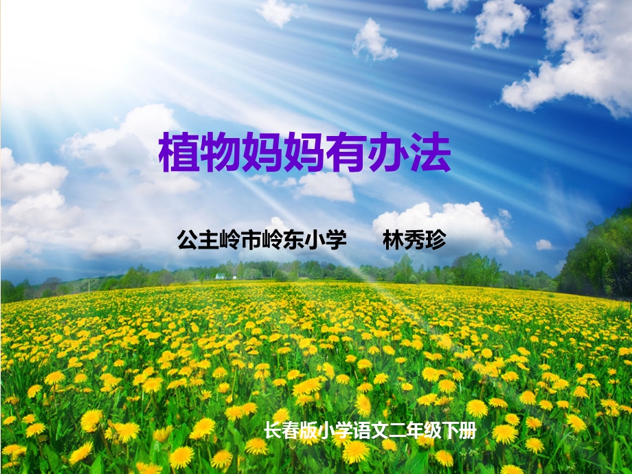 植物妈妈有办法 .ppt_第1页