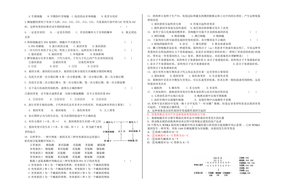 生物必修2第五章第1节基因突变和基因重组复习学案.doc_第3页