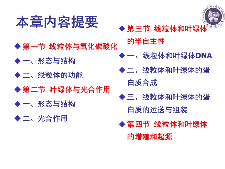 06细胞的能量转换PPT文档.ppt_第1页