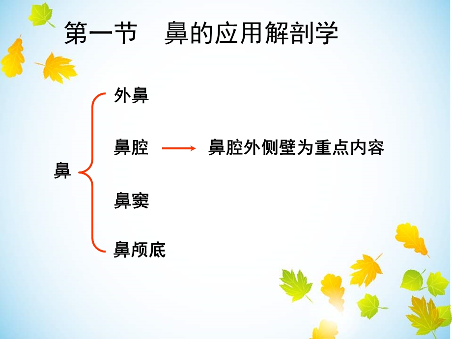 鼻的解剖和生理课件文档资料.ppt_第3页