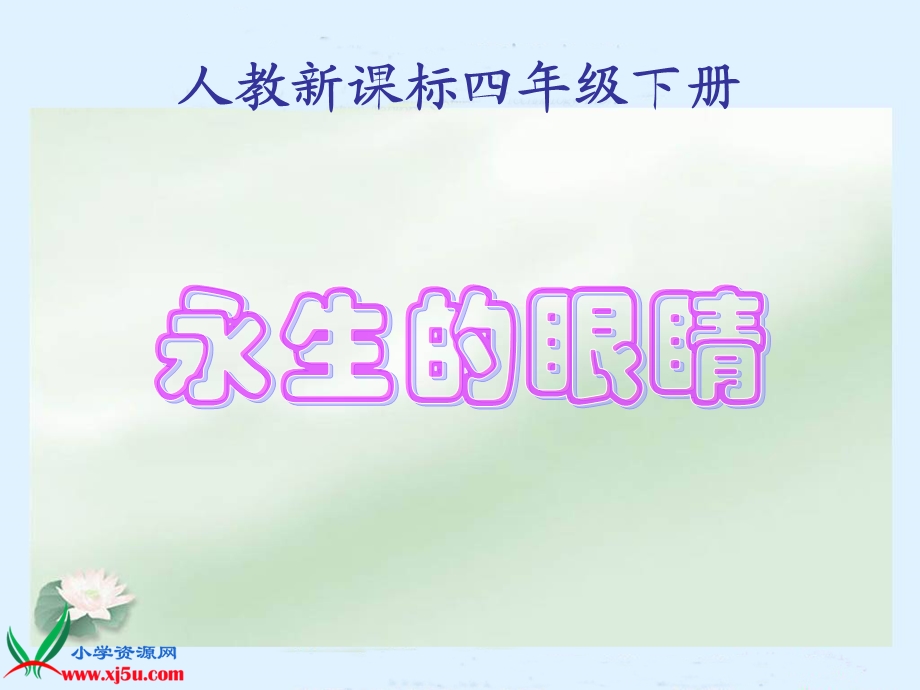 永生的眼睛PPT.ppt_第1页