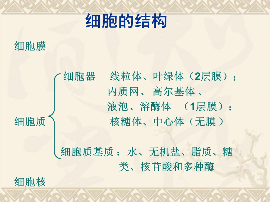 132细胞器文档资料.ppt_第1页