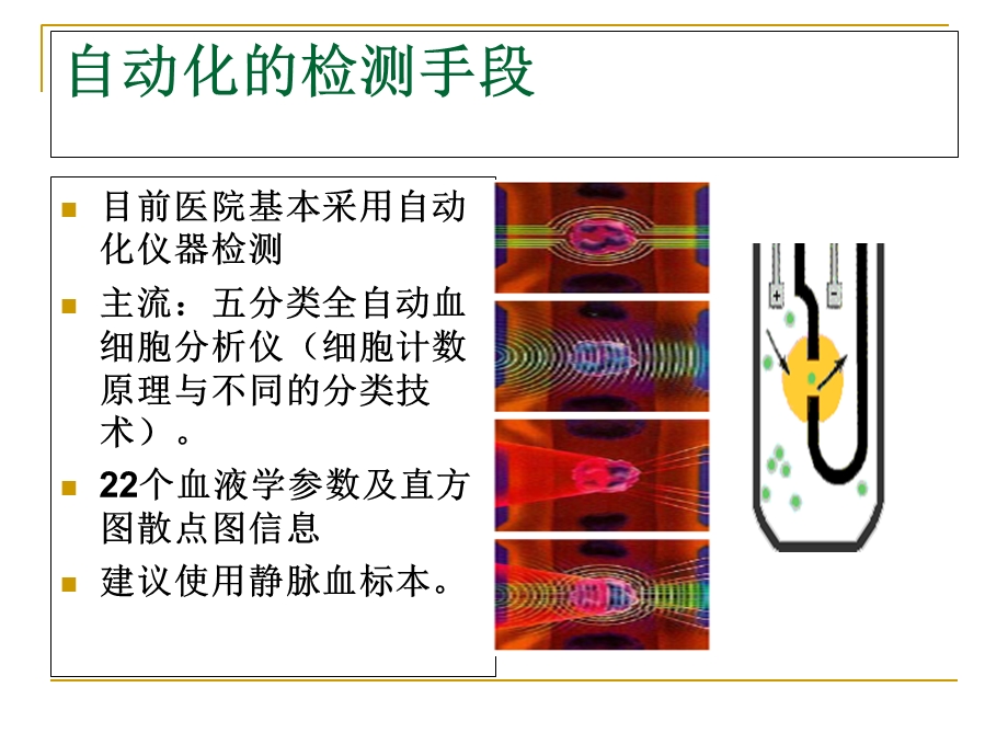 最新：一般血液检查文档资料.ppt_第3页