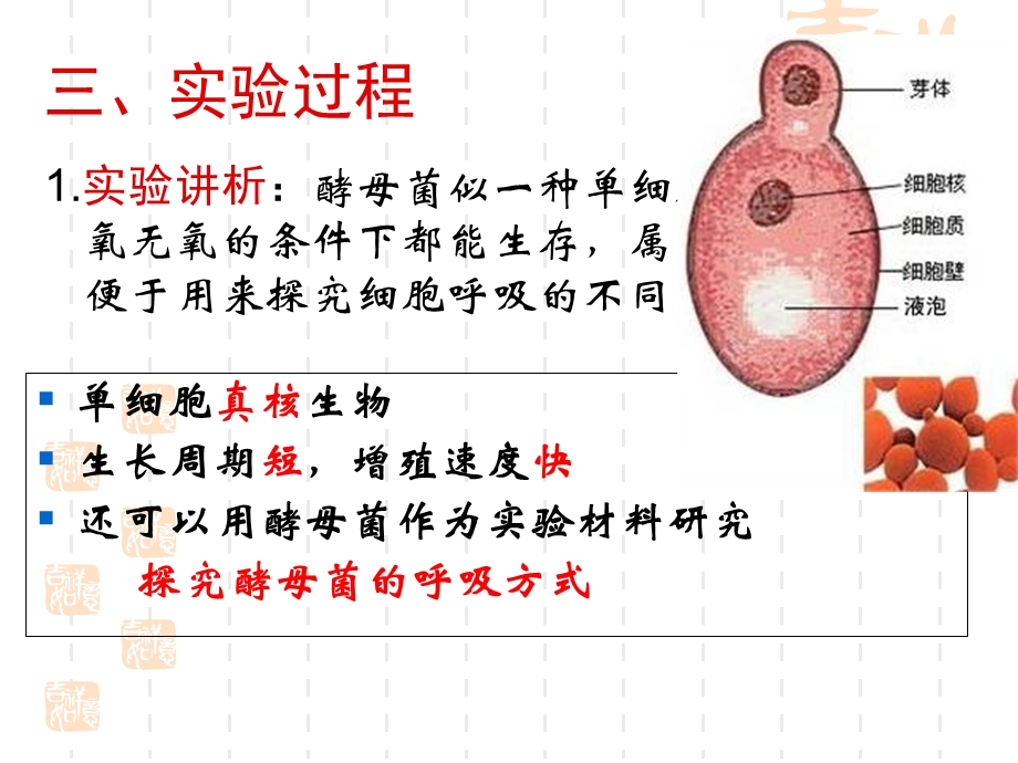 人教版教学课件探究酵母菌细胞呼吸的方式文档资料.ppt_第3页