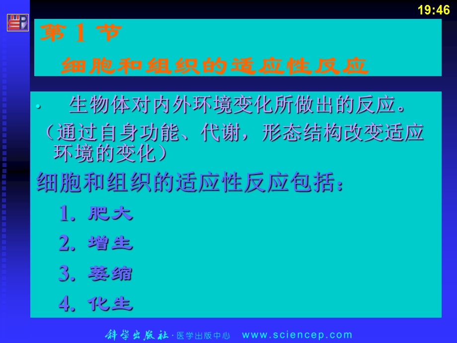 最新第2章细胞和组织的适应、损伤和修复病理学基础教学课件PPT文档.ppt_第2页