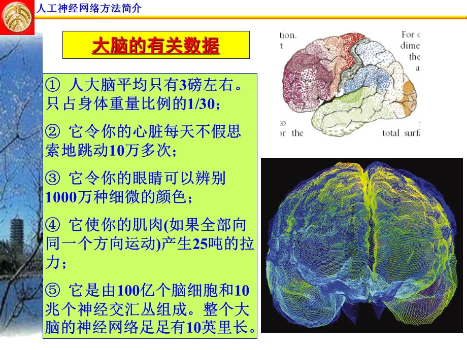 最新人工神经网络方法简介PPT文档.ppt_第3页