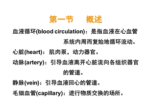 最新第七章血液循环PPT文档.ppt