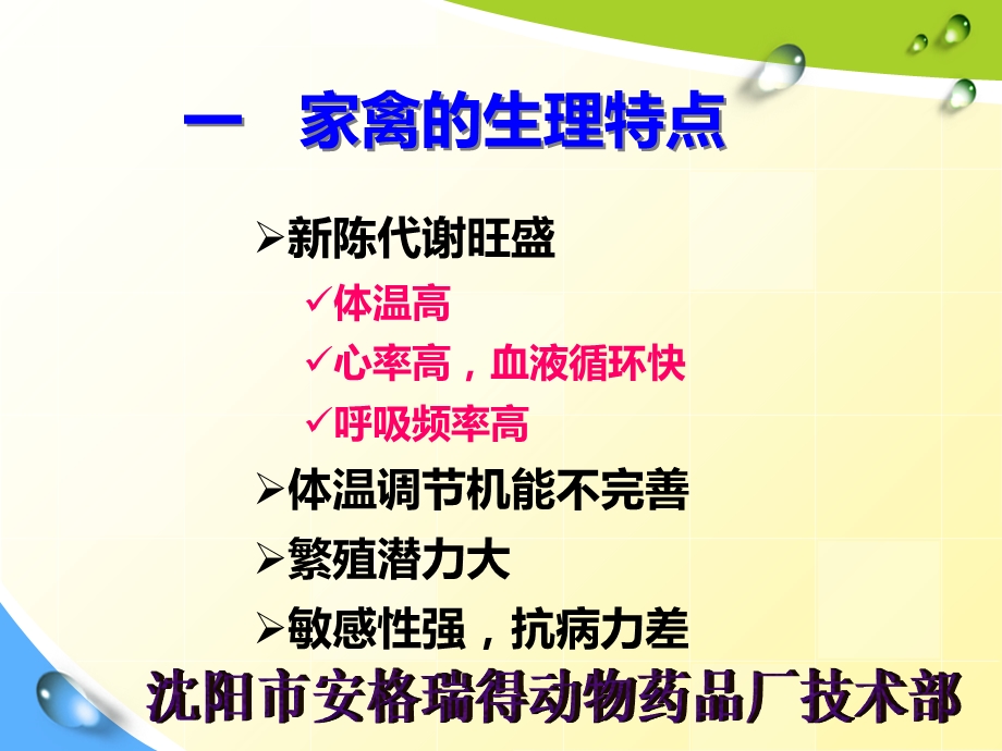 鸡的生理和解剖文档资料.ppt_第2页