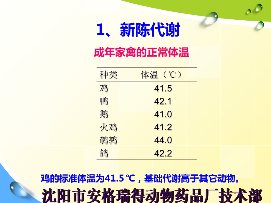 鸡的生理和解剖文档资料.ppt_第3页