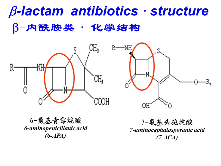 最新：内酰胺类抗生素文档资料.ppt_第3页