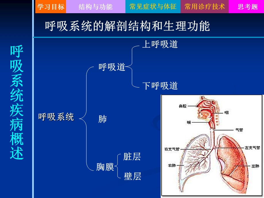 内科护理学1概述精选文档.ppt_第2页