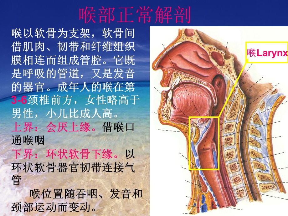 最新喉部解剖及常见疾病ct诊断ppt课件PPT文档.ppt_第1页