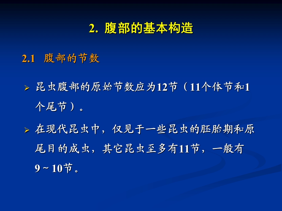 最新第8章昆虫的腹部PPT文档.ppt_第3页