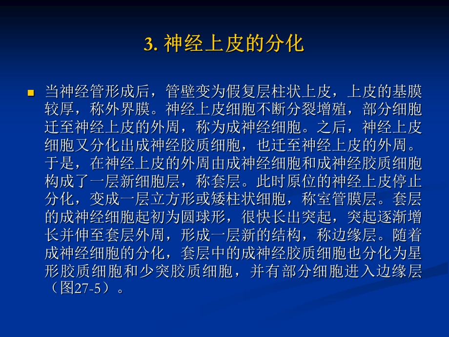 27神经系统的发生PPT课件.ppt_第3页