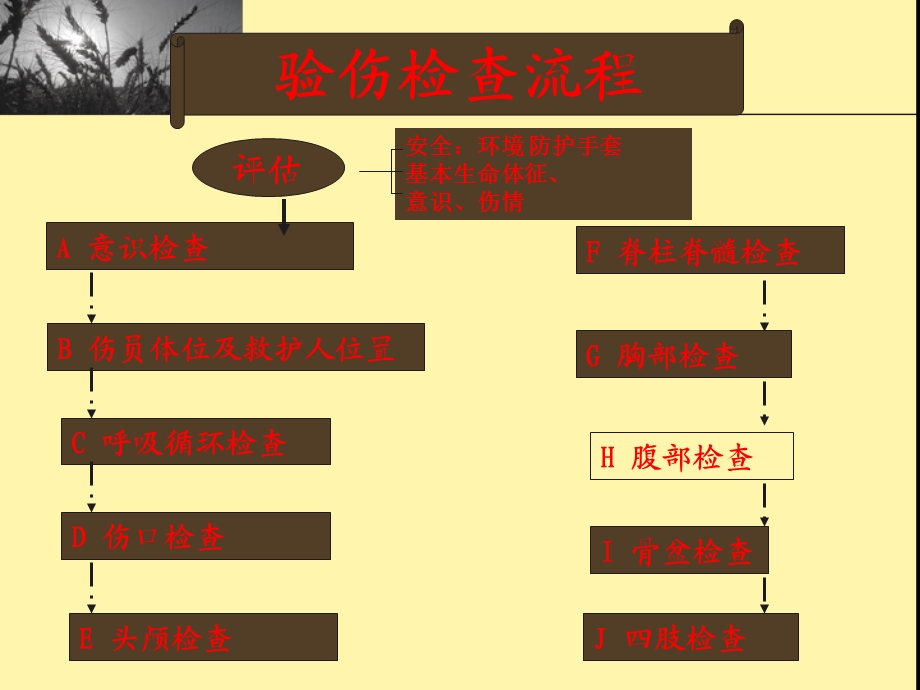 创伤现场急救精选文档.ppt_第3页