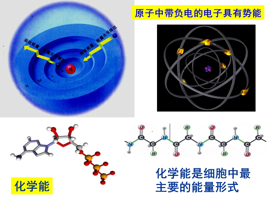 最新：浙科版教材第三章第一节细胞与能量课件文档资料.ppt_第3页