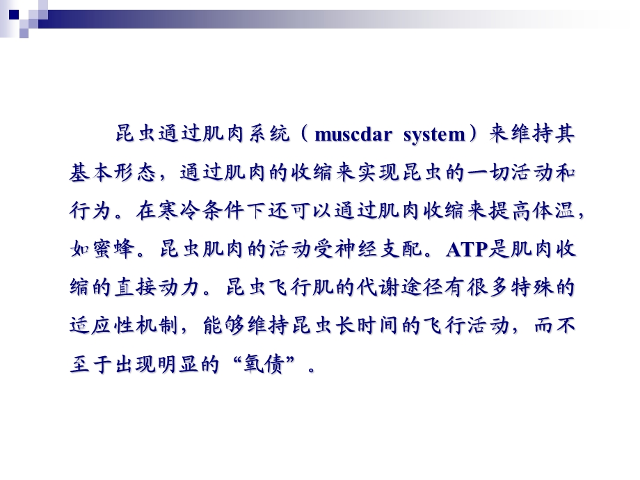 昆虫肌肉系统PPT文档资料.ppt_第1页