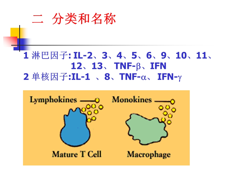 免疫学细胞因子PPT文档.ppt_第2页