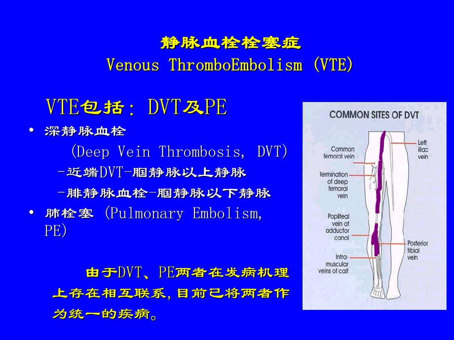 最新深静脉血栓的临床诊断与处理策略光雪峰PPT文档.ppt_第3页