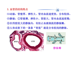 最新：第10章第二节血液循环文档资料.ppt