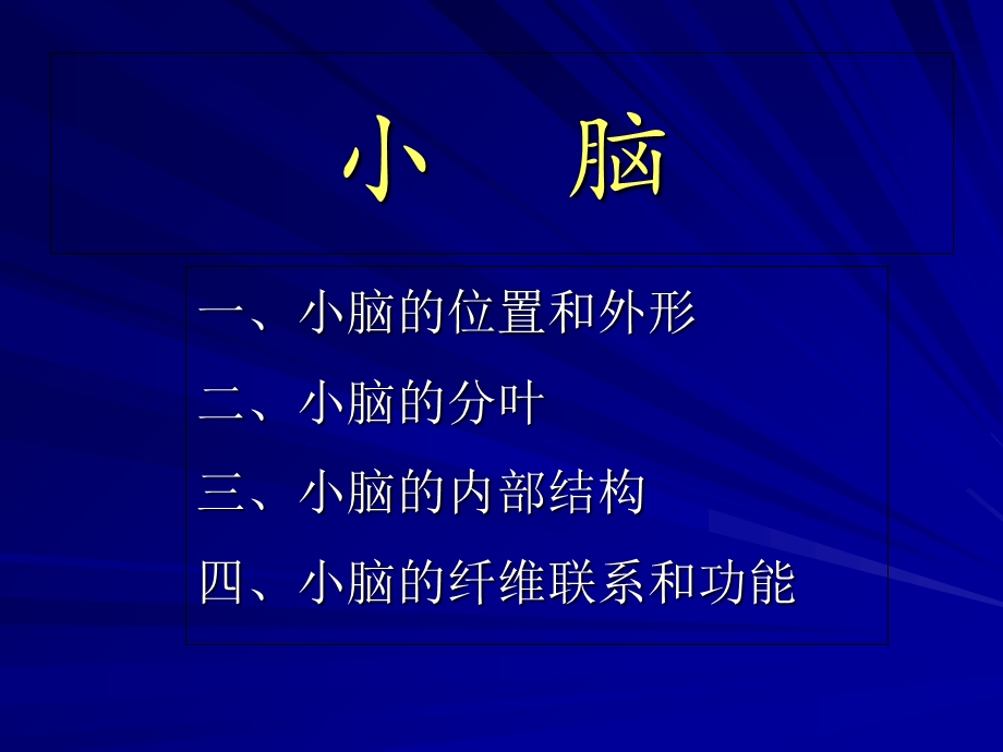 解剖学——小脑间脑课件文档资料.ppt_第1页