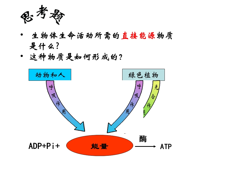 最新第节ATP的主要来源细胞呼吸PPT文档.ppt_第3页