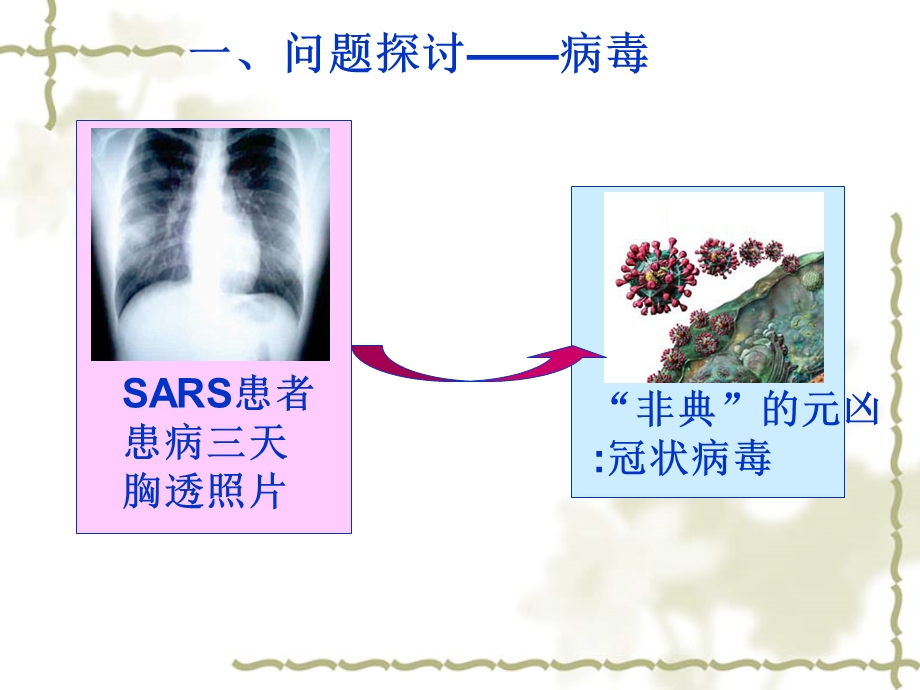 最新：一轮复习1.1走进细胞17.3.14文档资料.ppt_第1页