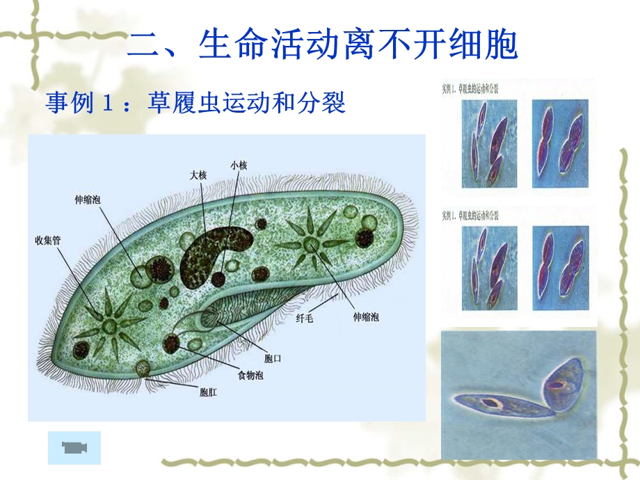 最新：一轮复习1.1走进细胞17.3.14文档资料.ppt_第3页