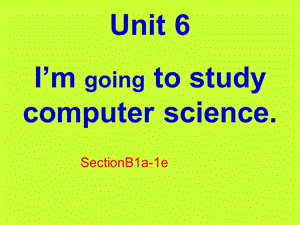 八年级英语unit6SectionB1a-1e.ppt