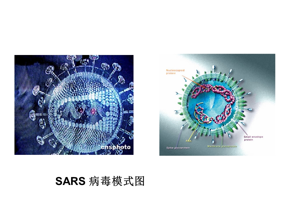 最新：第一部分走近细胞第一部分从生物圈到细胞教学课件文档资料.ppt_第1页