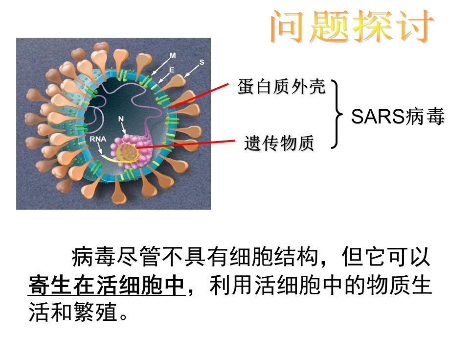 最新：第一部分走近细胞第一部分从生物圈到细胞教学课件文档资料.ppt_第2页