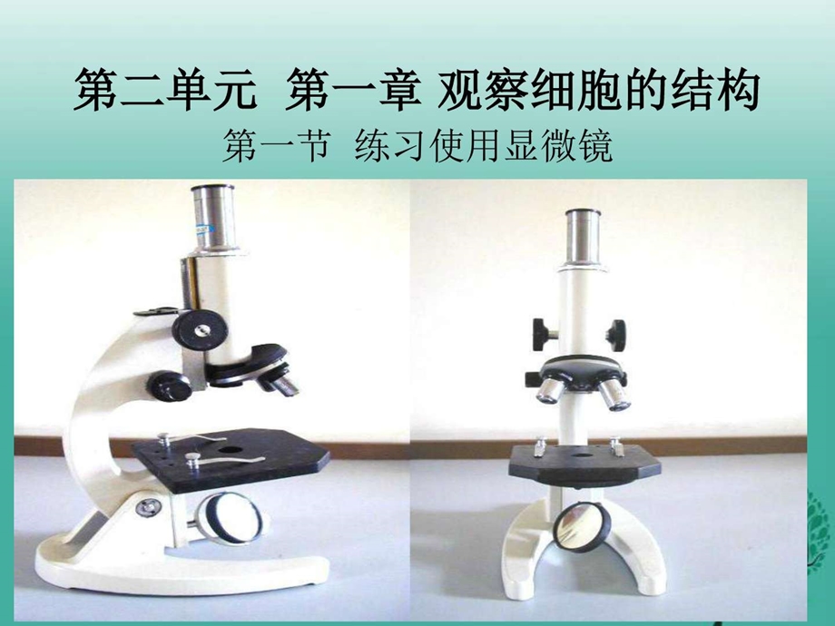 最新新人教版七年级生物上册第二单元第一章第一节练..ppt_第1页