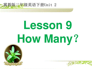 最新冀教版三年级英语下册Unit2 Lesson 9 How Many？ 教学课件..ppt