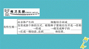 广西省八年级生物上册第6单元第19章第3节植物的生殖方式课件新版北师大版.pptx