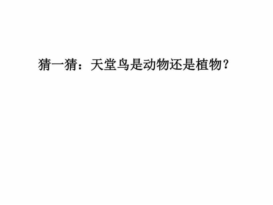 最新八年级生物上册第一章第一节腔肠动物和扁形动物..ppt_第1页